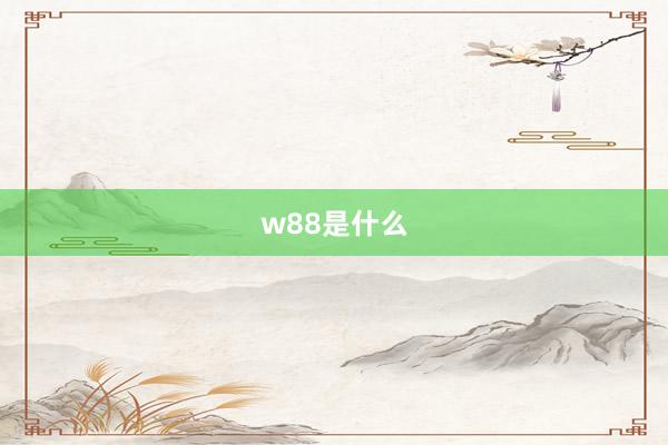 w88是什么